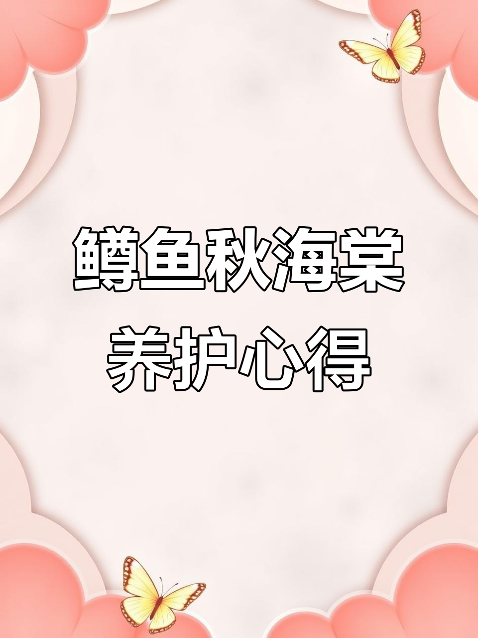 鳟鱼秋海棠养护技巧:从叶片到生长环境的调整