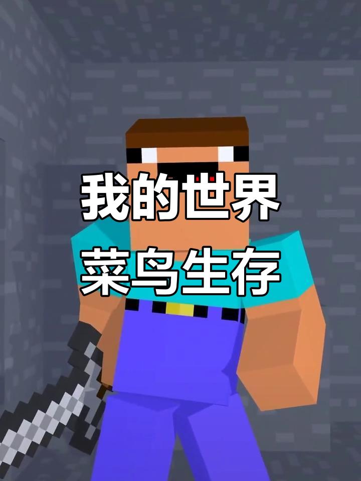 菜鸟挑战生存极限,我的世界大冒险