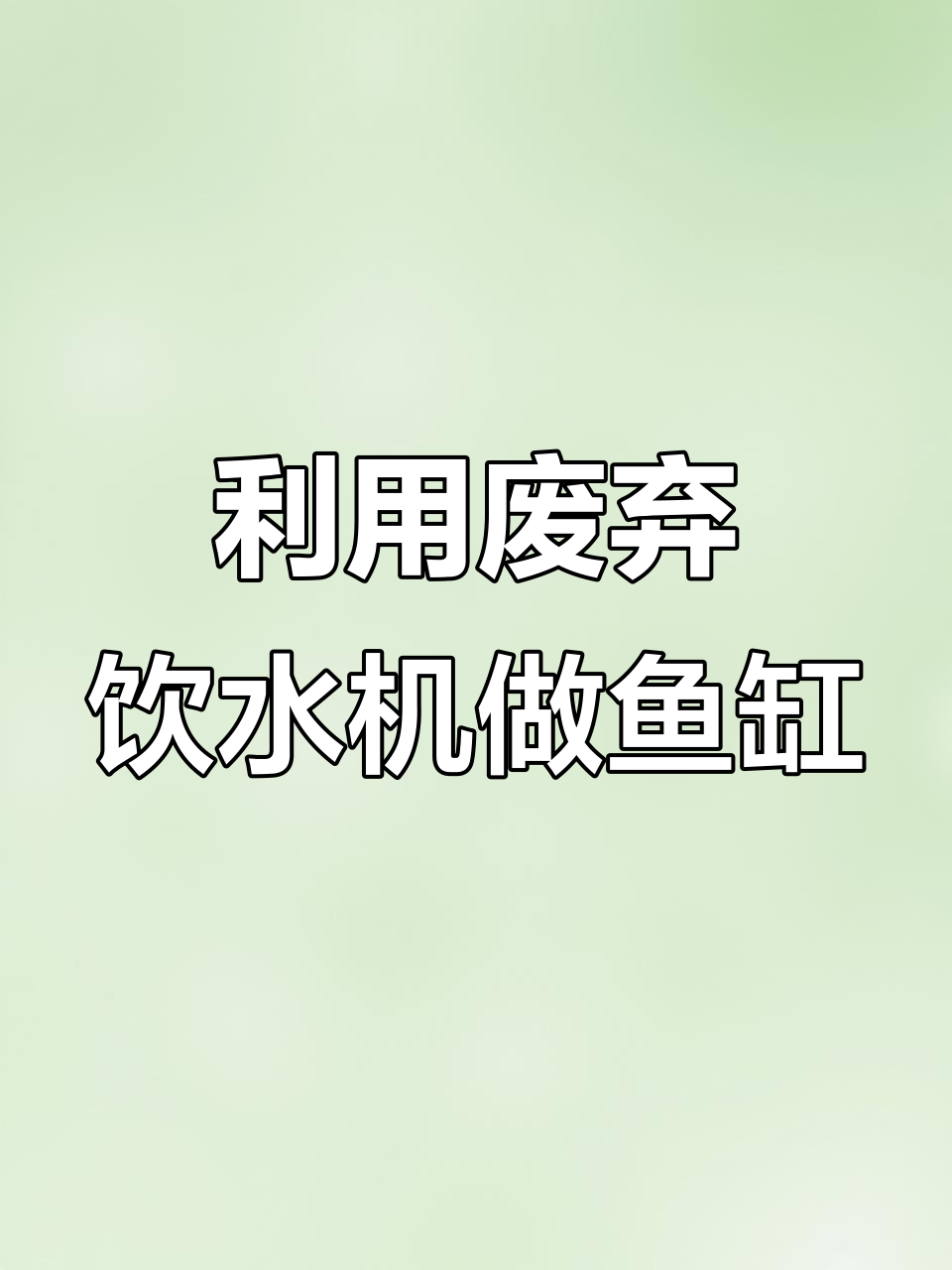废饮水机变身鱼缸,废物利用有成就感