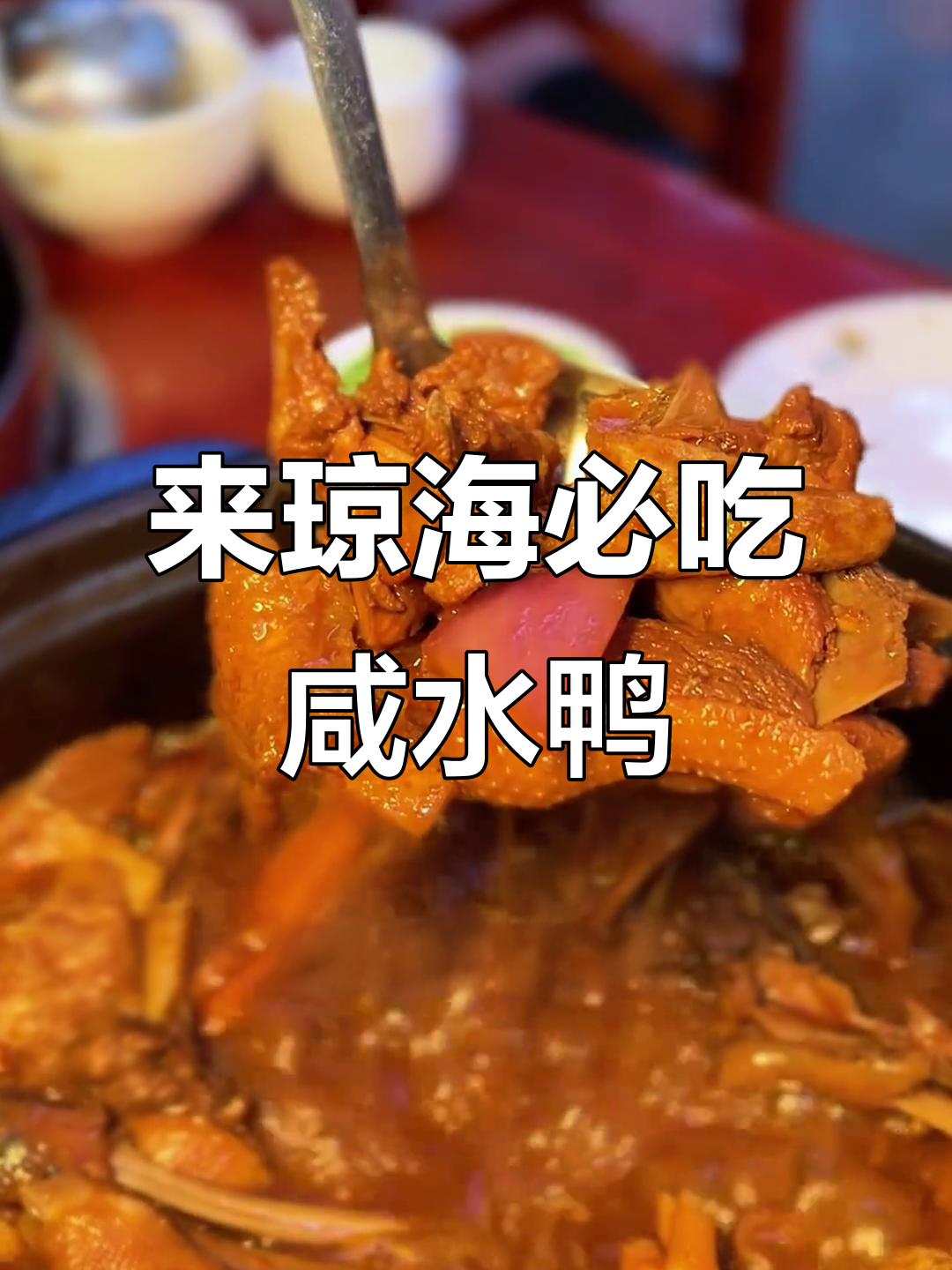 琼海嘉万咸水鸭:田园风味,鲜香四溢