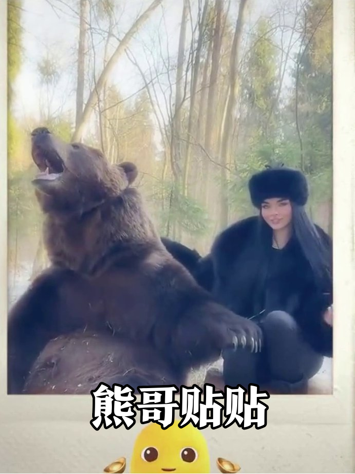 海底萌物到雪地熊抱!鱼群海豚齐耍帅,人熊贴贴太治愈