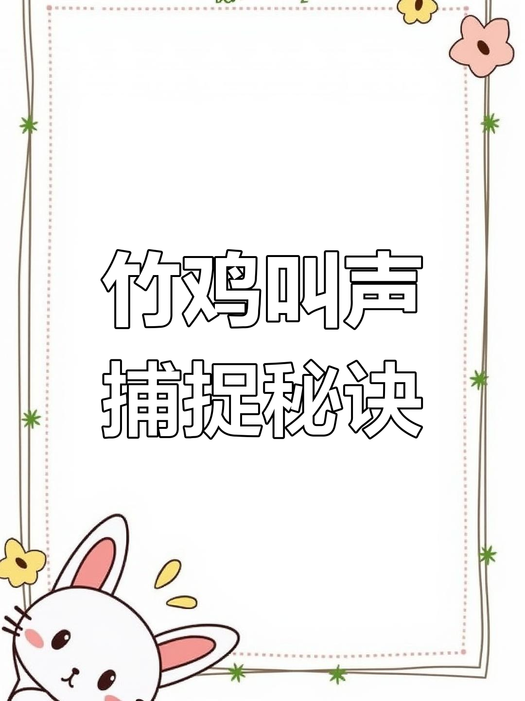 竹鸡鸣叫技巧大揭秘,如何拍摄精彩瞬间