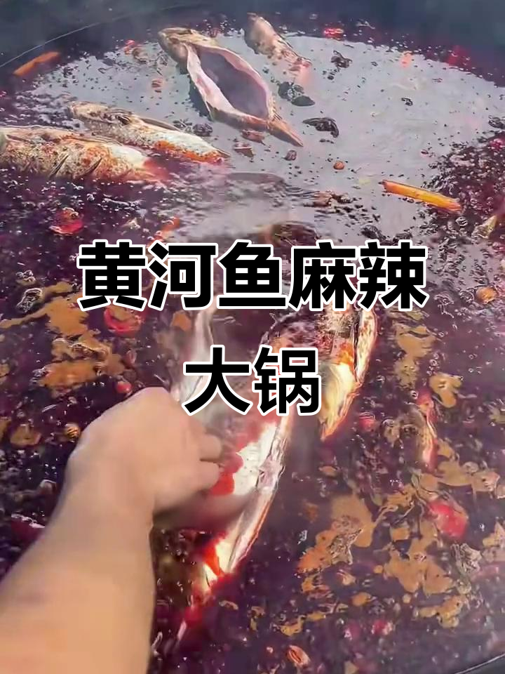 黄河鱼麻辣大锅菜,乡村味道满满一桌