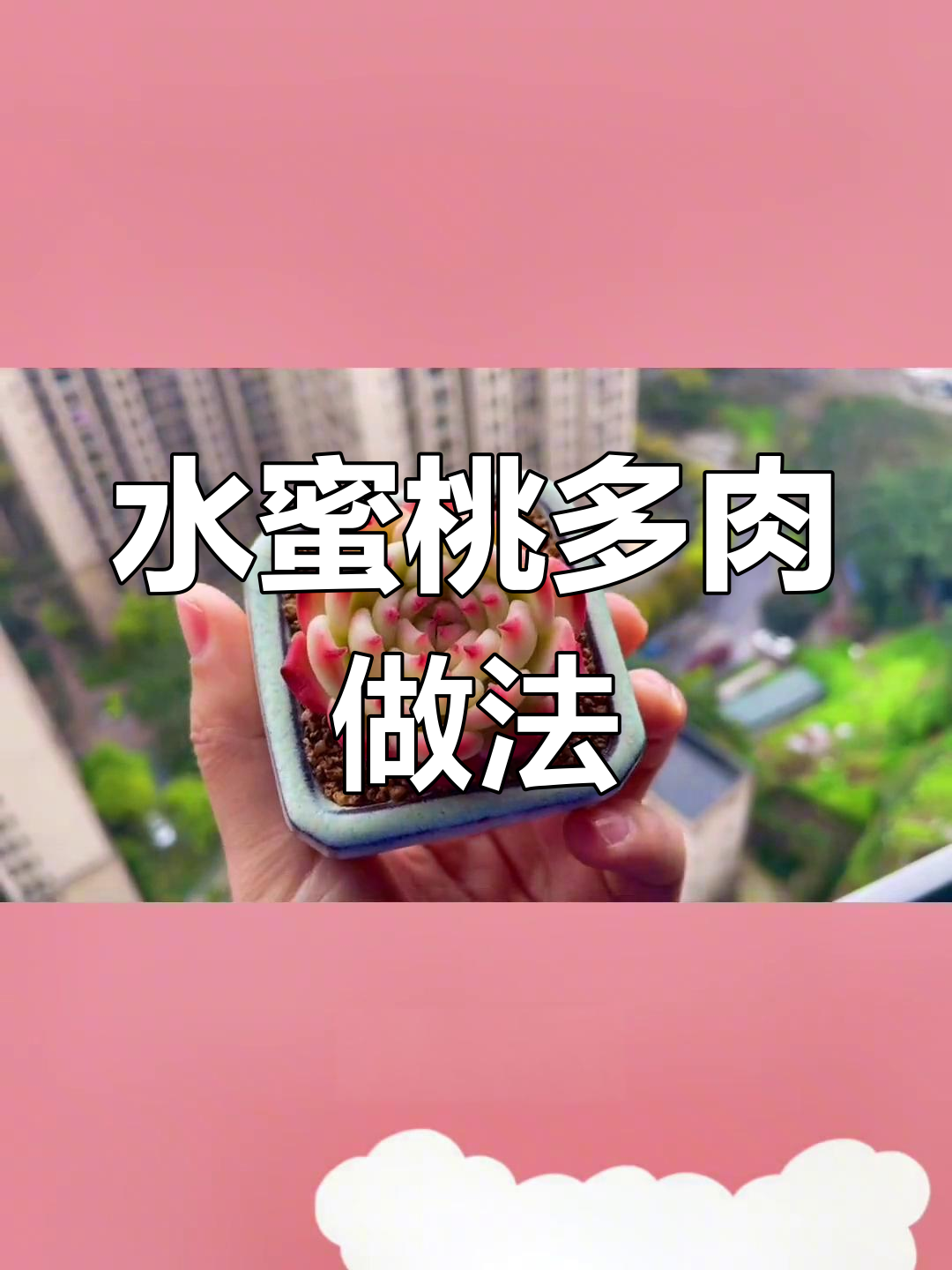 软陶水蜜桃多肉制作教程