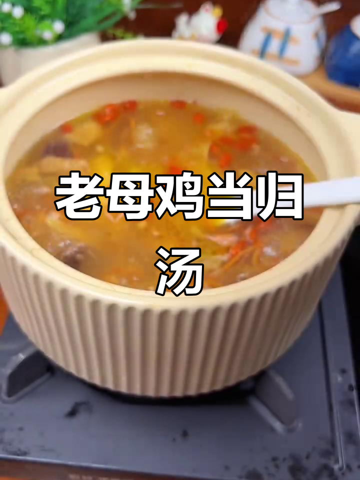 慢炖老母鸡汤,滋补元气满满