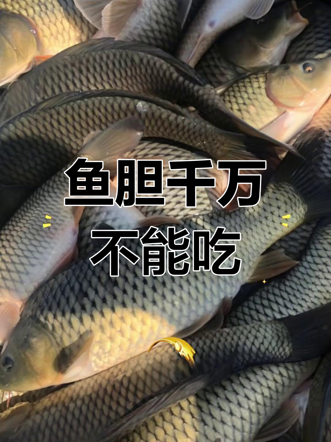 鱼胆有毒,误食致命