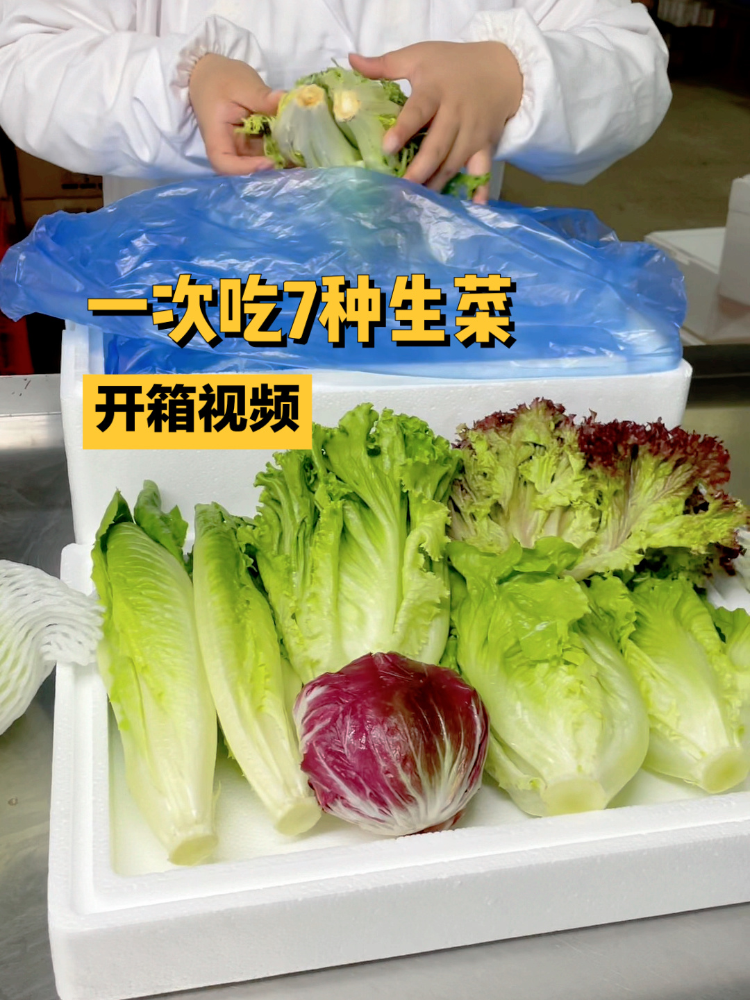 7种生菜开箱测评,太惊喜了!