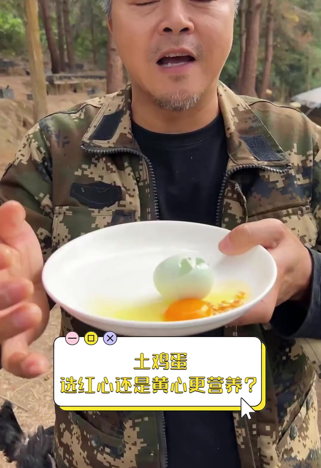 土鸡蛋,选红心还是黄心更营养?