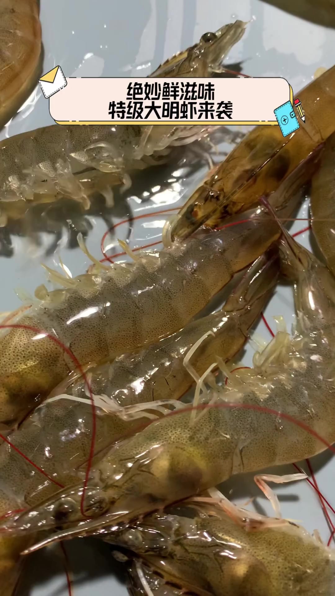 绝妙鲜滋味,特级大明虾来袭