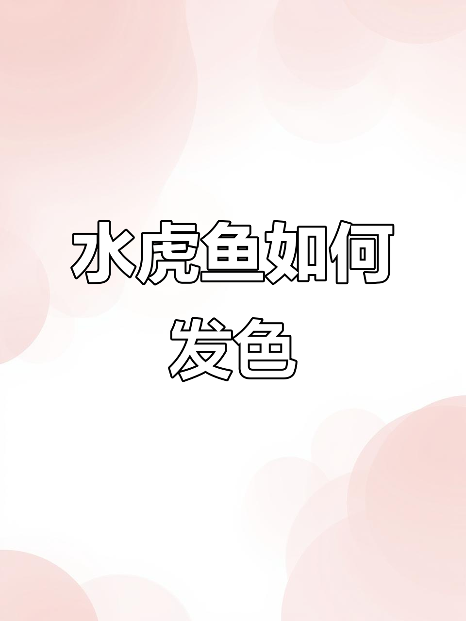 旧金山黄钻水虎鱼发色秘诀：环境、水质与维生素补充