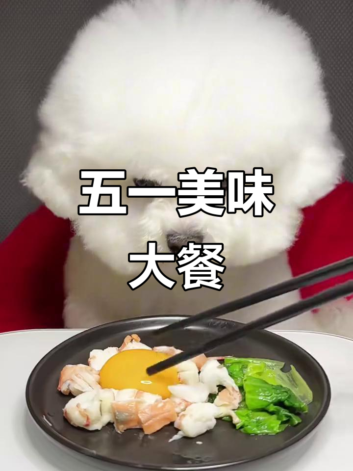 假期放纵,红爪虾与生菜的美味组合!