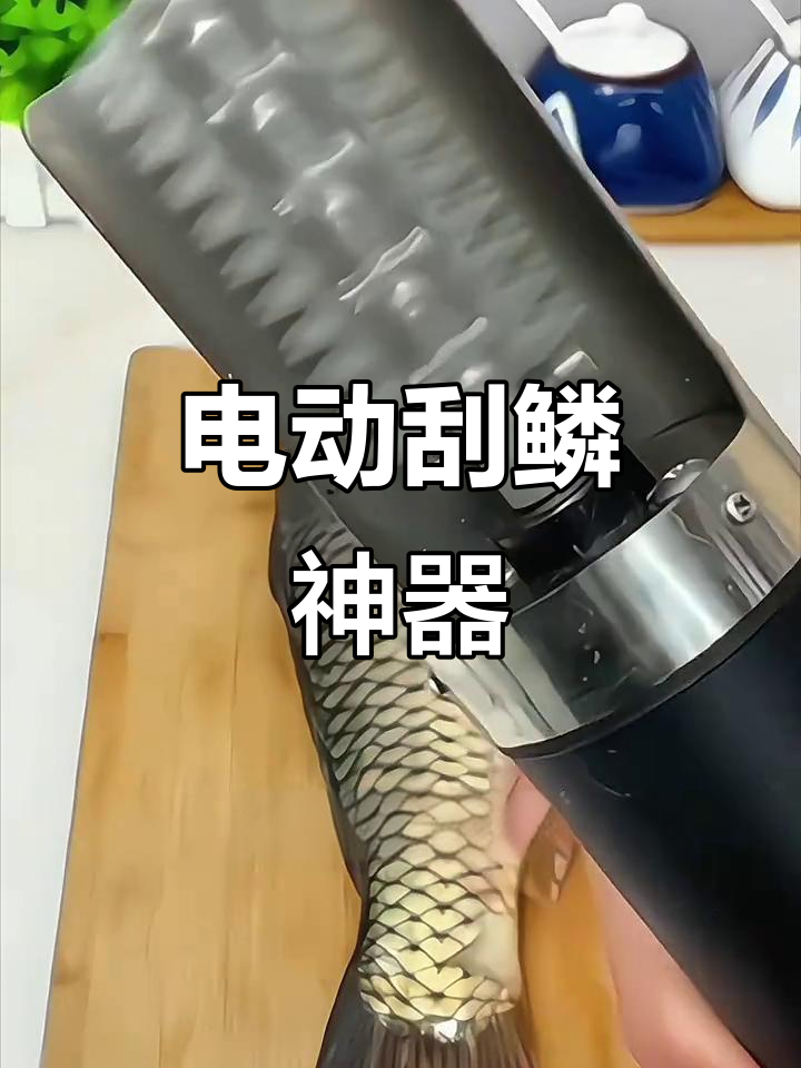 电动刮鳞神器，省时又高效，防水耐用，轻松处理鱼皮！