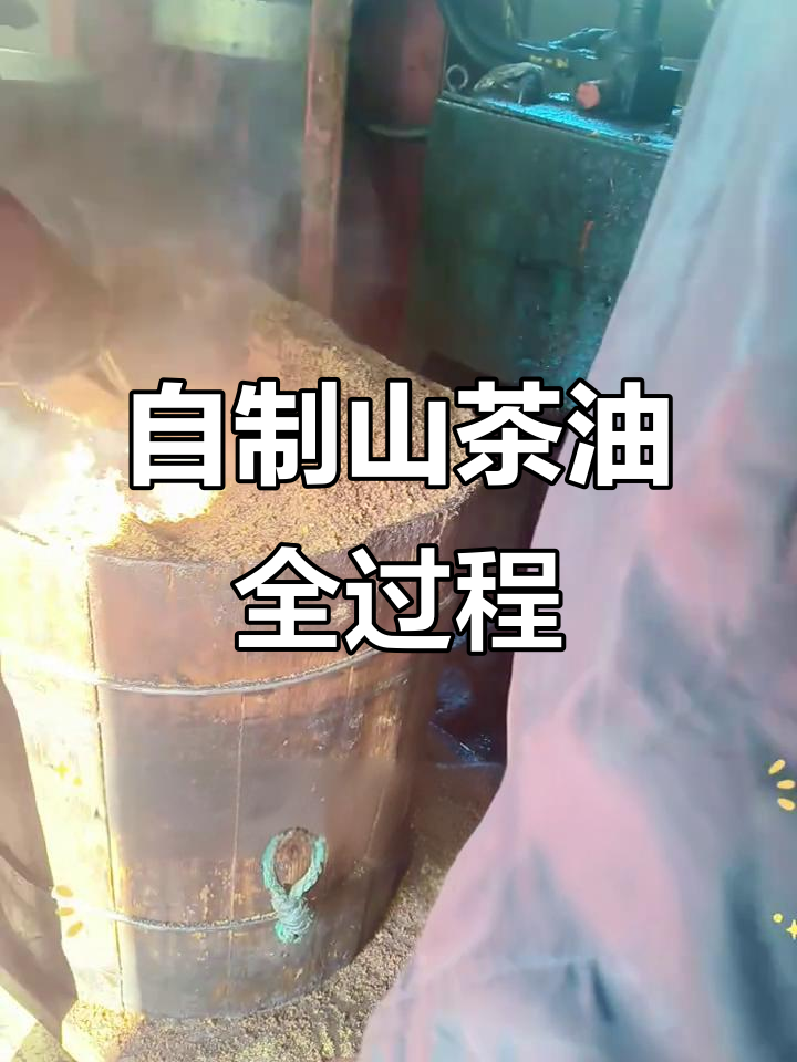 山茶油果采摘后，如何制作成品山茶油？
