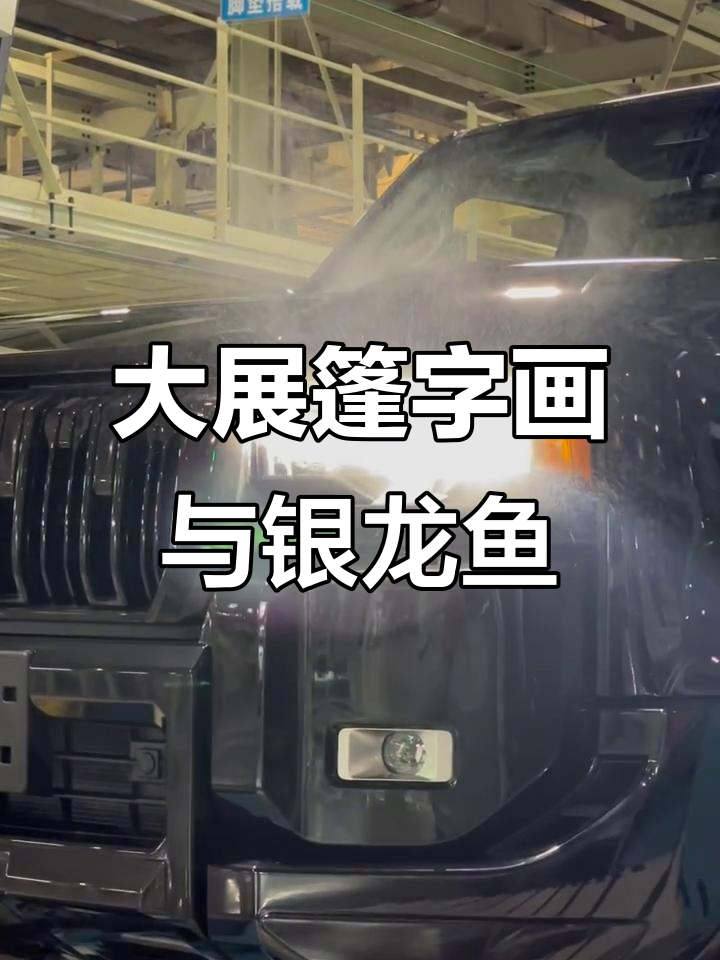 黑白对比大展宏图,别墅里的银龙鱼与茶具故事