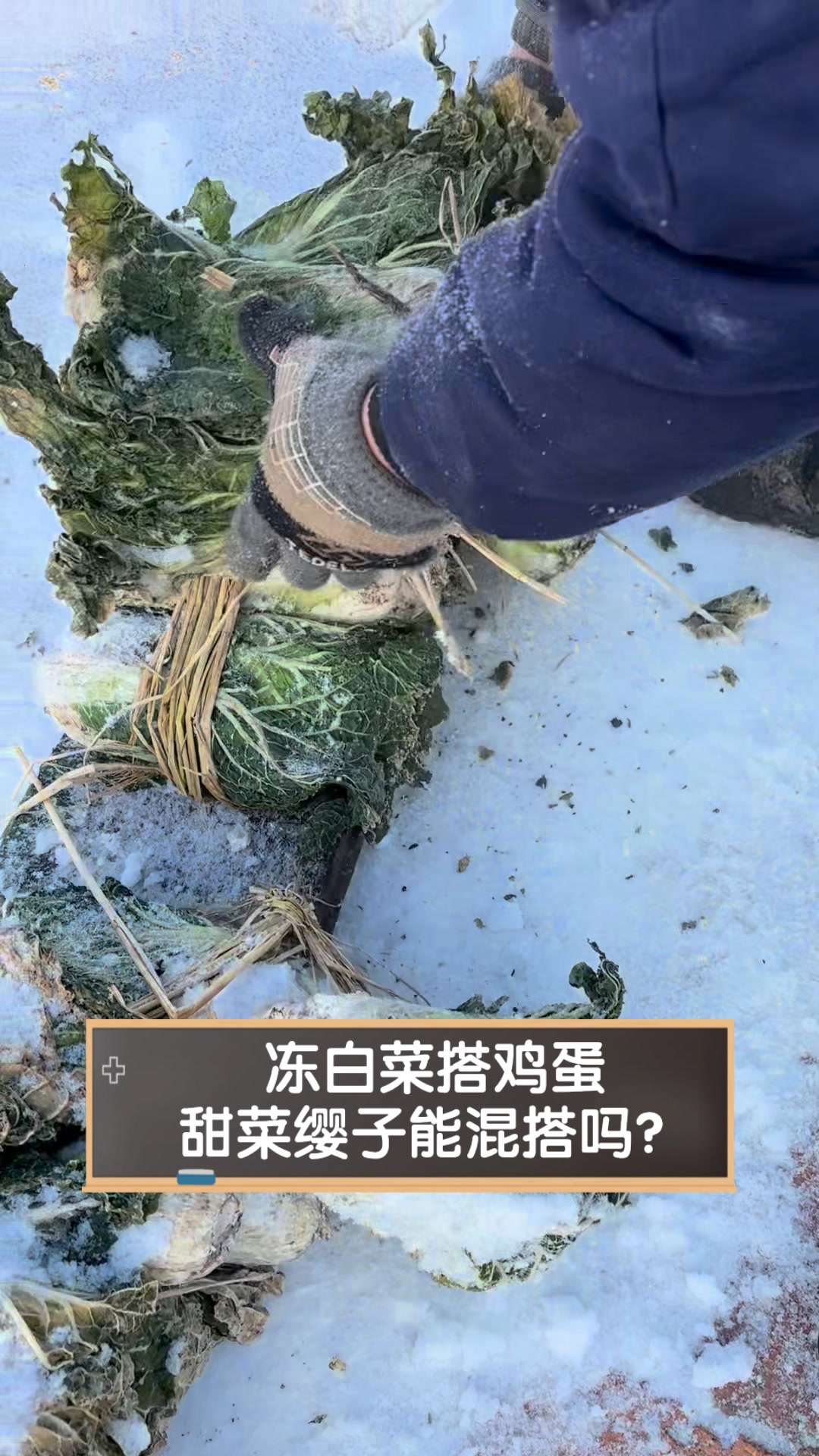 冻白菜搭鸡蛋,甜菜缨子能混搭吗?