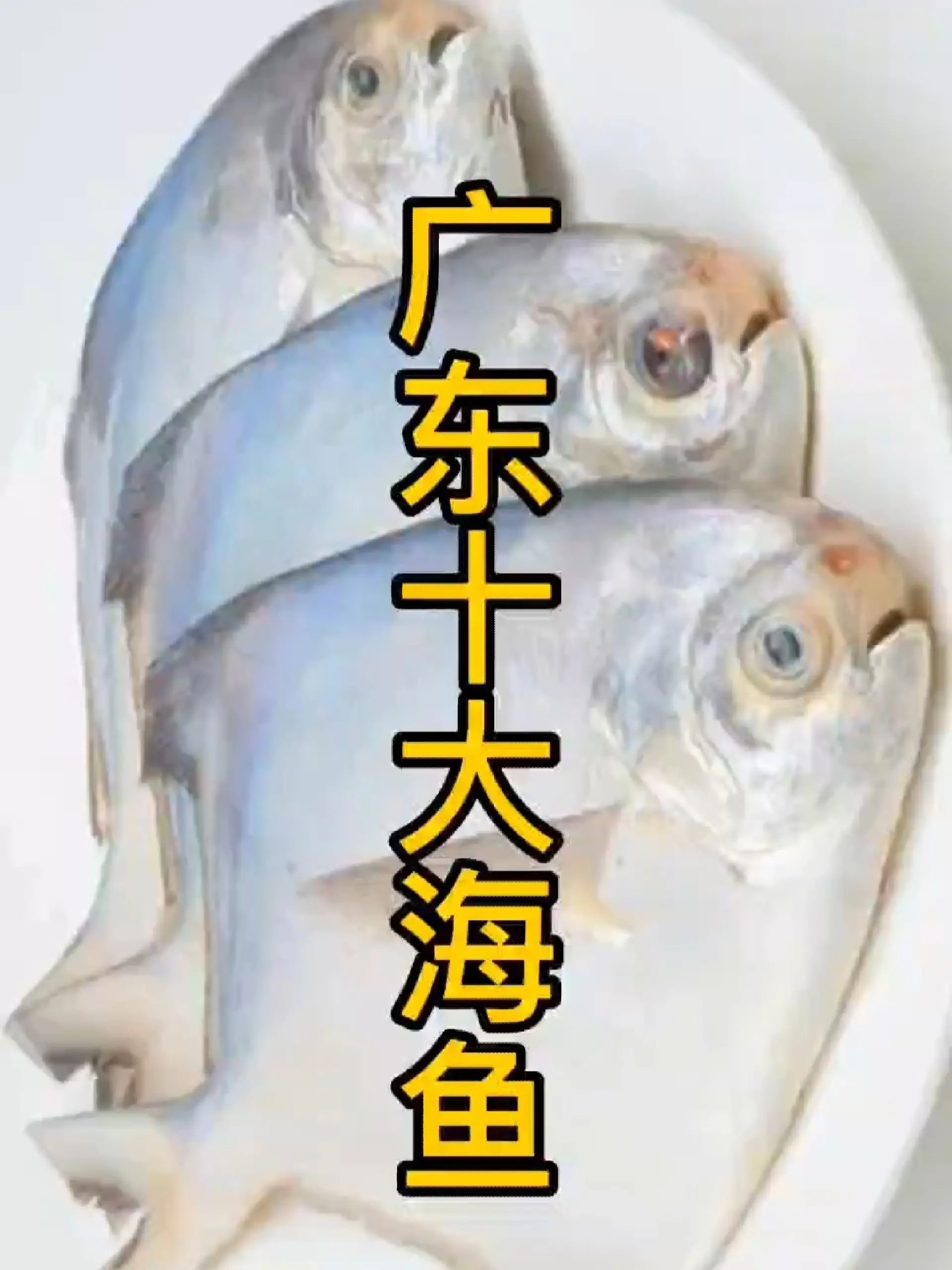 广东十大海鱼,看有没有你的口味?