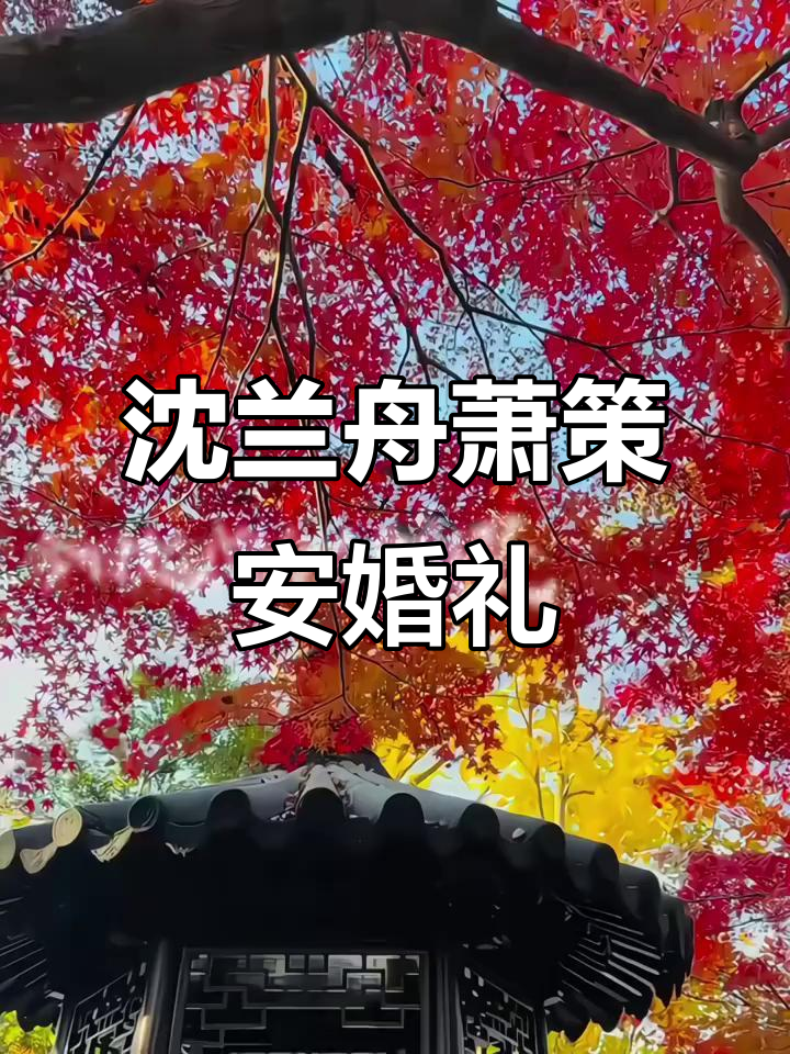 沈兰舟与萧策安大婚,千金难买的兰州香大爷成亲难题