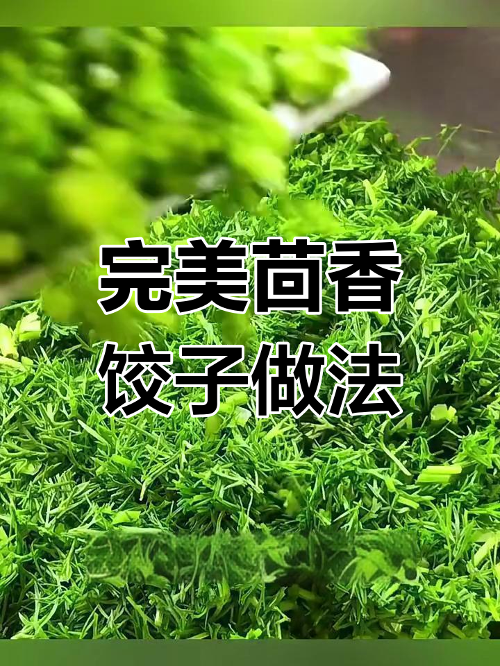 茴香猪肉馅水饺,调料和拌法全揭秘