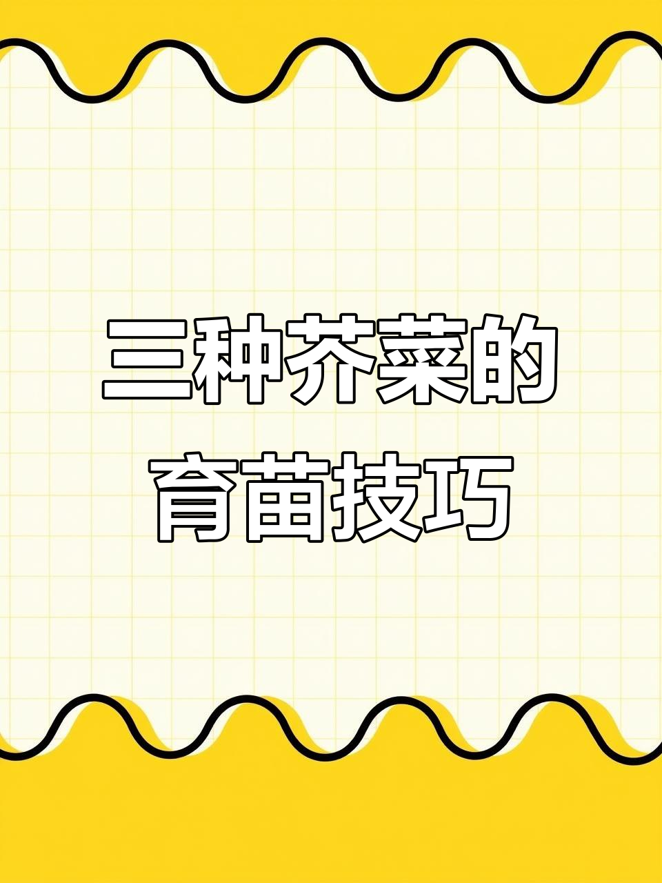 轻松育苗,三品种芥菜三天出苗