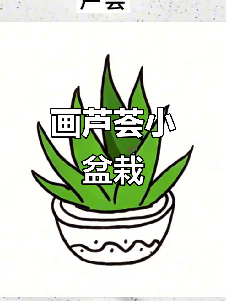 画出可爱芦荟小盆栽,细节满满超有趣