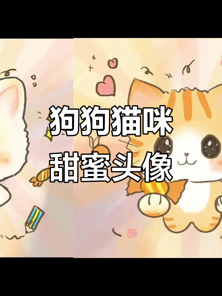 狗狗猫猫情侣头像,暗恋是颗星星糖
