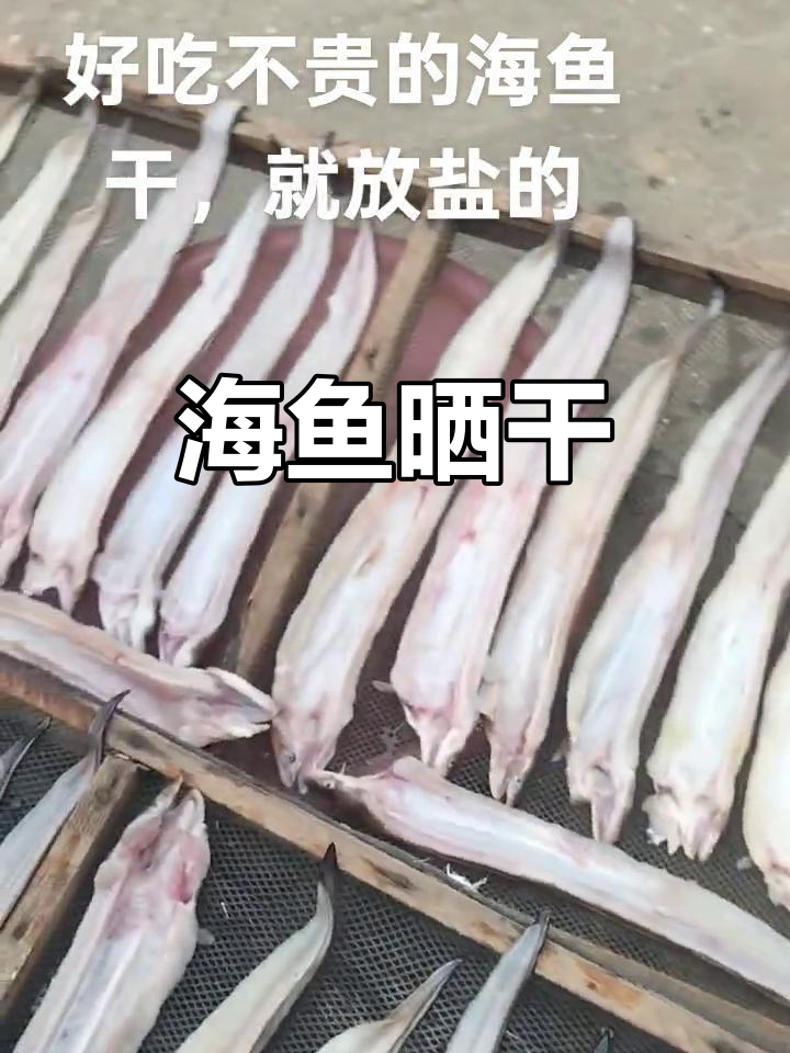 野生海鱼晒干,美味又健康