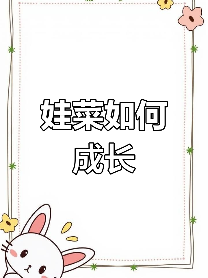 娃娃菜的生长过程揭秘