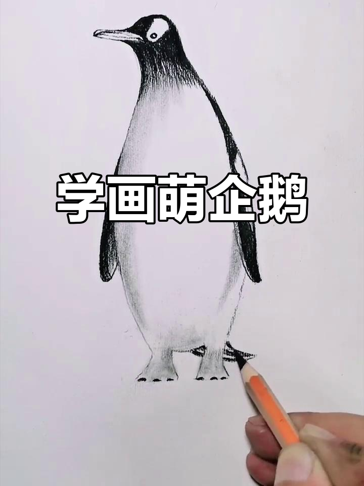 轻松学会画可爱企鹅,步骤简单又有趣