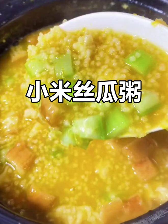 小米丝瓜粥，营养又好喝！油条南瓜搭配更诱人
