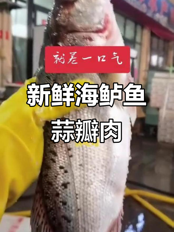 海鲈鱼鲜美无比,蒜瓣肉无刺,冷冻技术让口感更佳