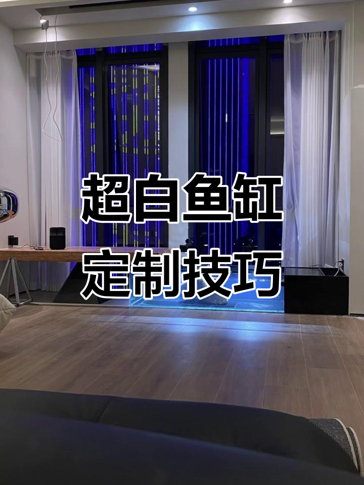 阳台鱼缸设计全攻略:如何打造安全、美观的龟类栖息地