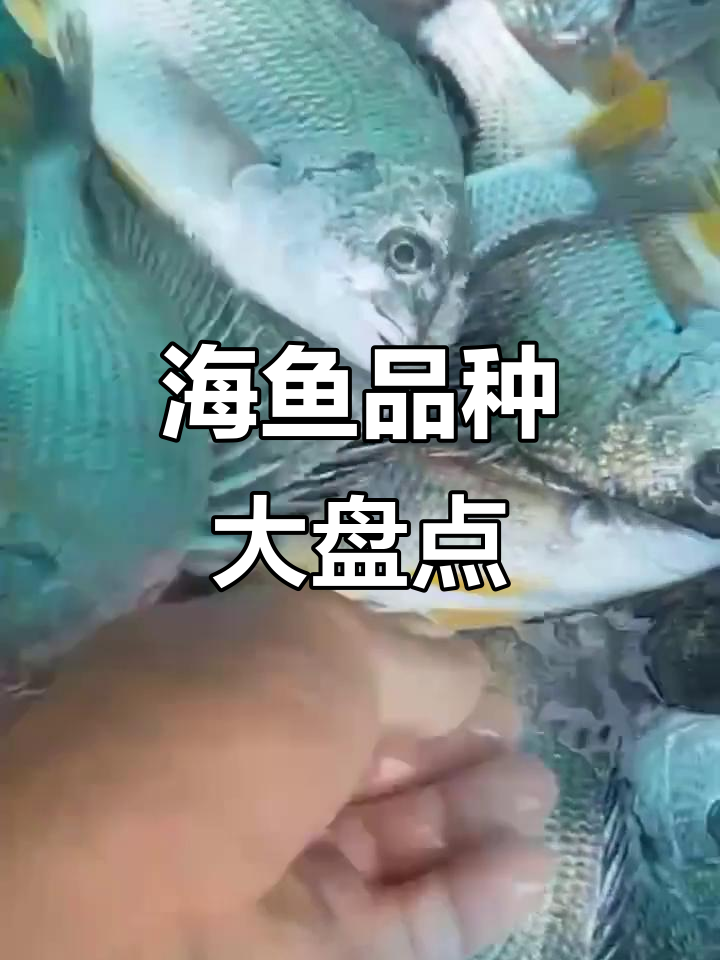 5种常见海鱼大揭秘,干炸带鱼、鲅鱼饺子全都有