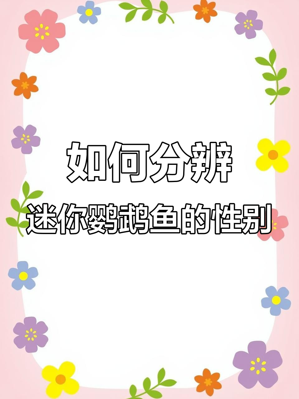 迷你鹦鹉鱼配对技巧,如何判断公母并成功繁殖