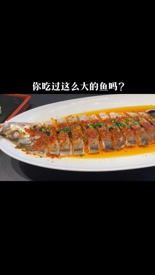 白鱼 翘嘴鱼 白鱼、翘嘴鱼和刁子鱼到底有啥区别?