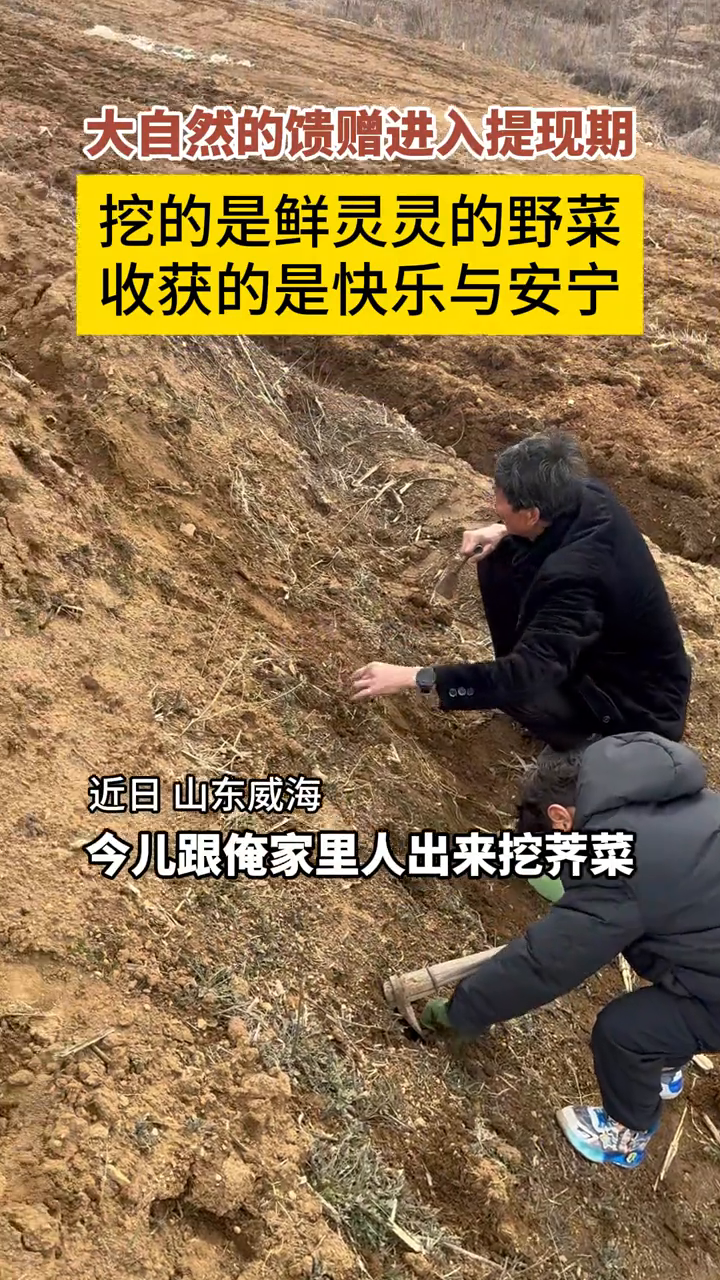 大自然的馈赠,是满桶鲜嫩的野菜
