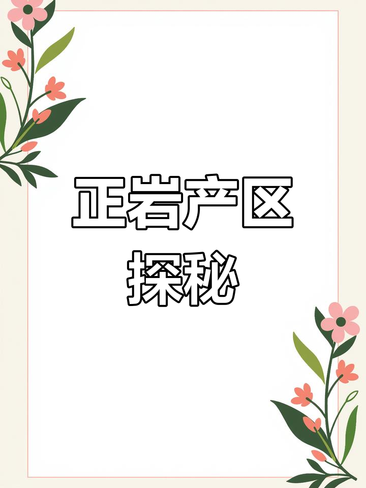 武夷岩茶正岩山场揭秘:独特的地域与生态