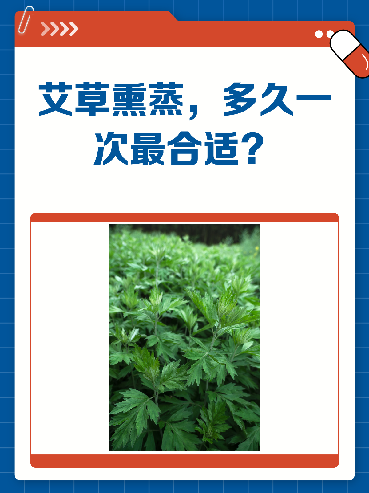 艾草熏蒸多久一次?快来get正确频率