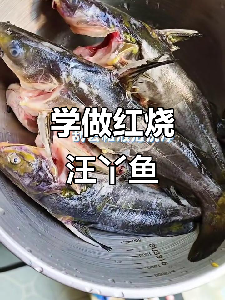 红烧汪丫鱼,家常味十足!新手必学17道菜之一