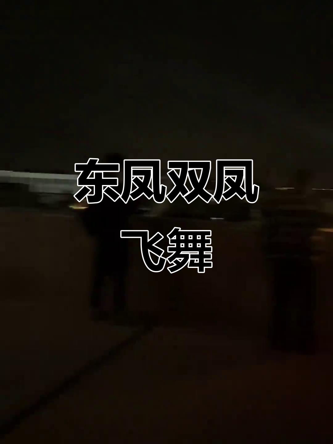 今晚风大,东凤诗阳双凤表演精彩呈现