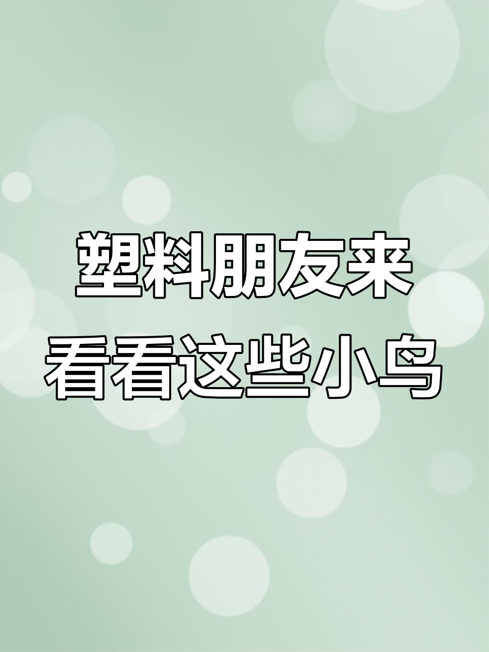 这些“鸟东西”你见过吗?表情包背后的故事
