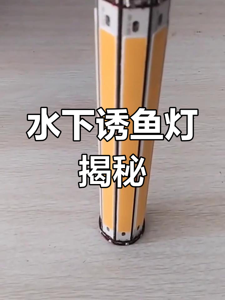 水下诱鱼灯:神秘灯光吸引鱼儿,四月惊喜连连