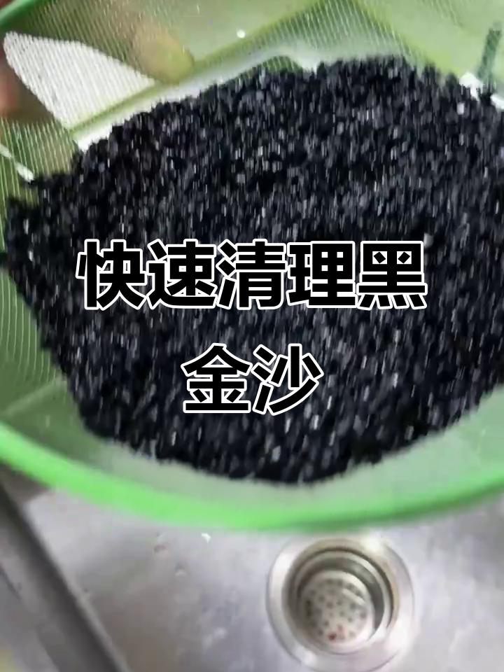黑金沙清洗技巧大公开,鱼缸造景更干净