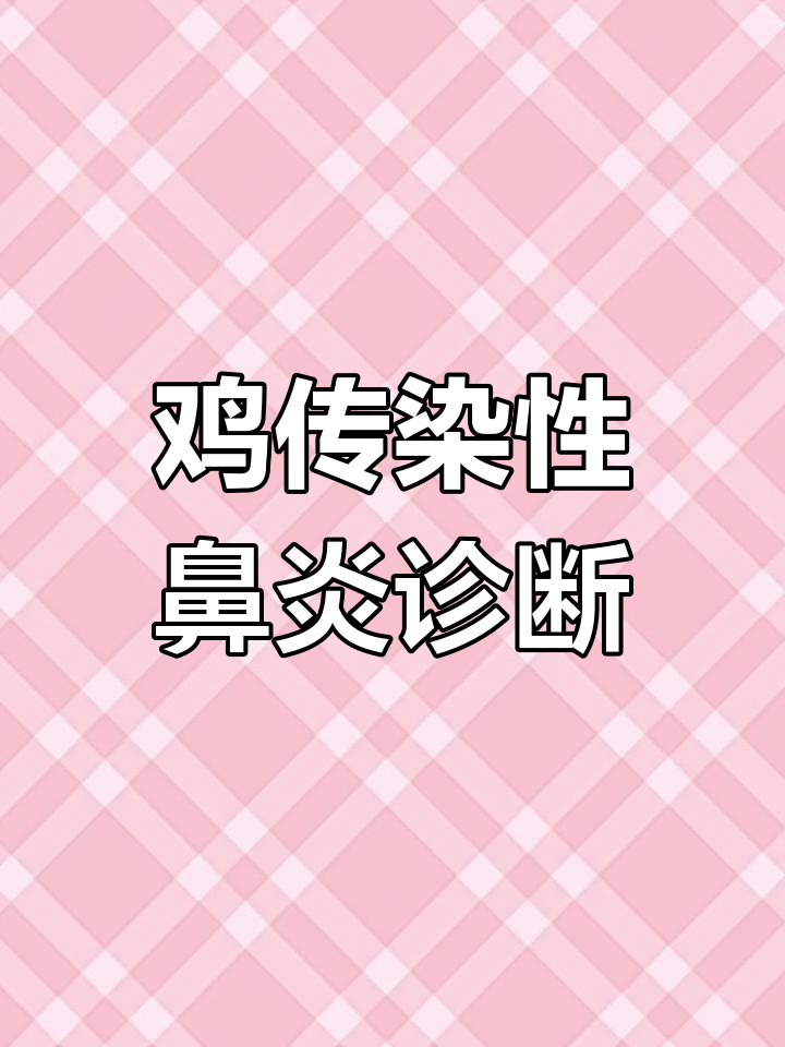鸡传染性鼻炎症状解析与治疗方案