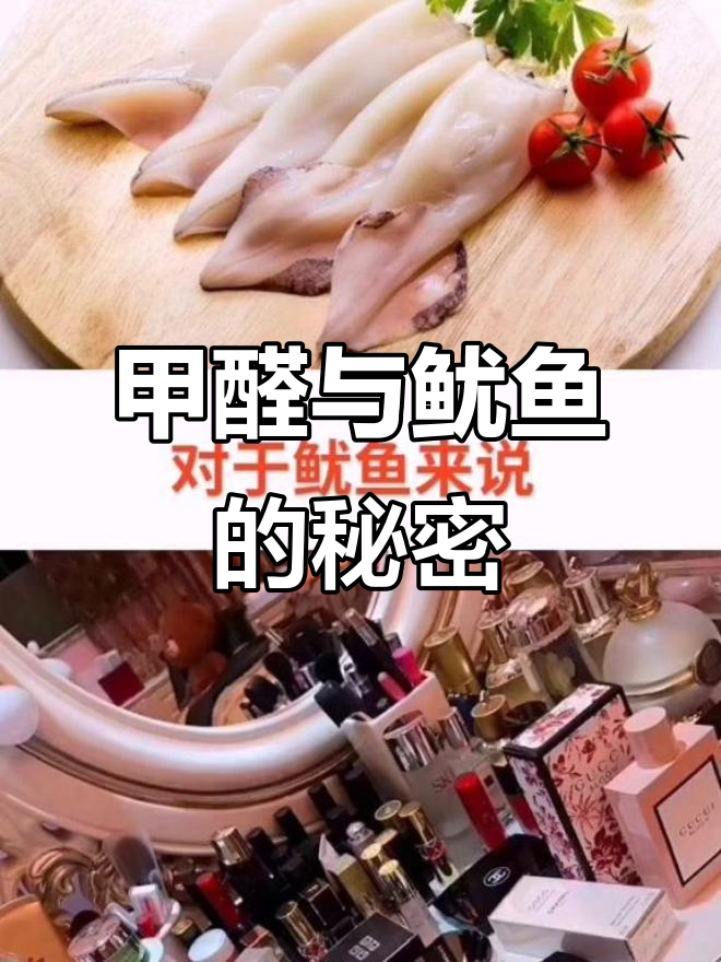 甲醛如何让鱿鱼焕发青春?揭秘水产品中的秘密