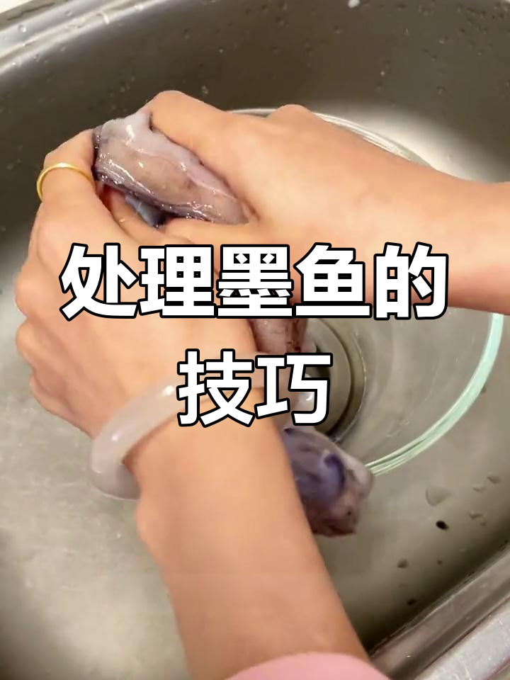 如何正确处理墨鱼?详细步骤解析