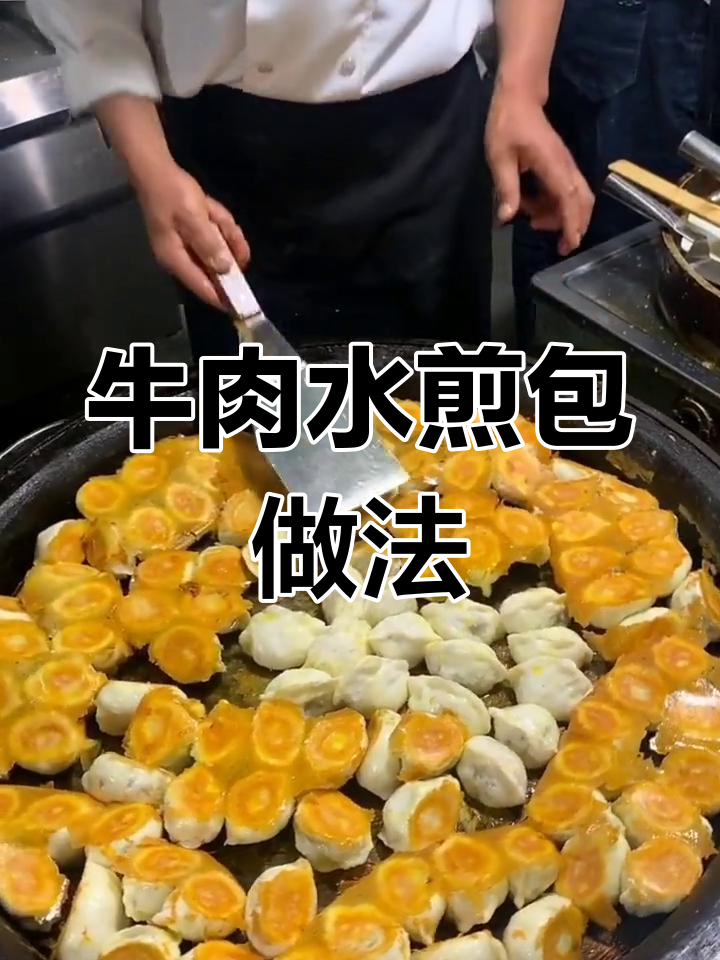 河南经典牛肉水煎包配方,轻松学会做