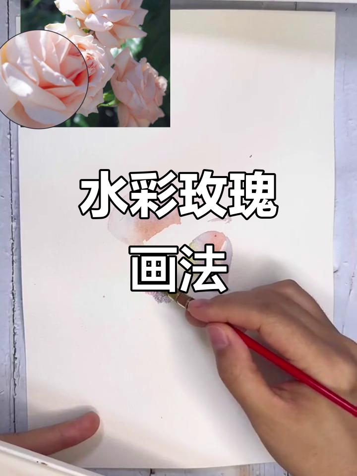 浅粉色玫瑰花手绘教程,掌握接色与吸色的技巧