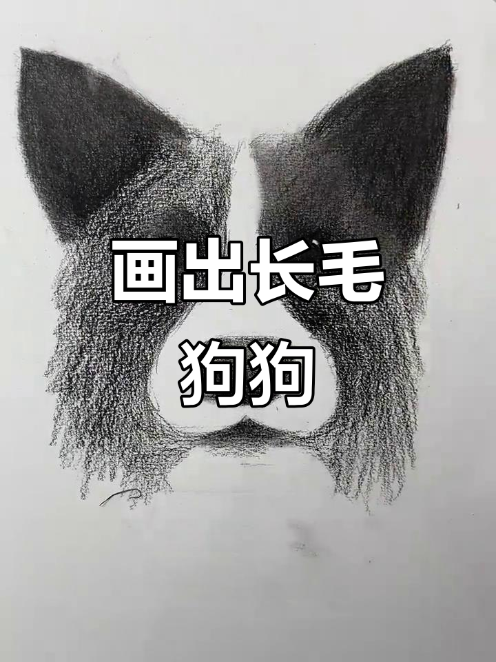 长毛狗狗画法全解析,轻松掌握细节技巧