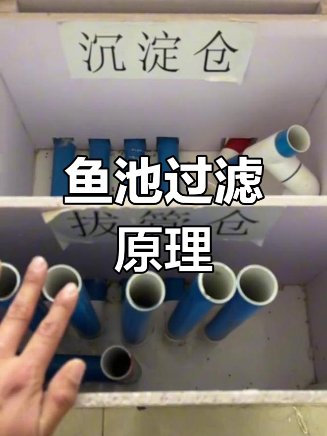 鱼池过滤系统揭秘:拔管仓的作用与排污过程