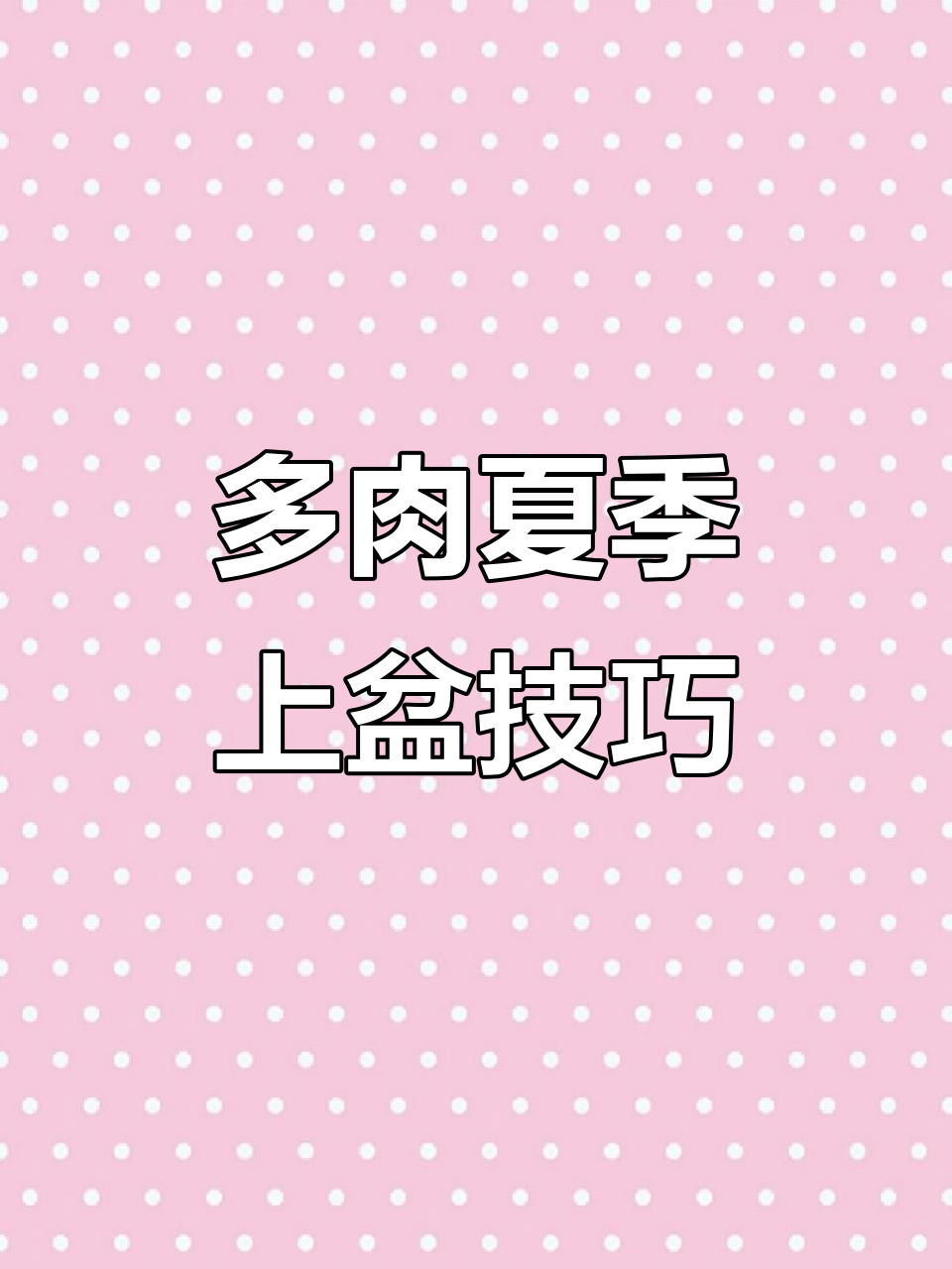 夏季网购多肉上盆全攻略,轻松搞定根部处理与土壤搭配